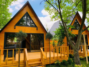 Sapanca Hayat Ağacı Bungalov